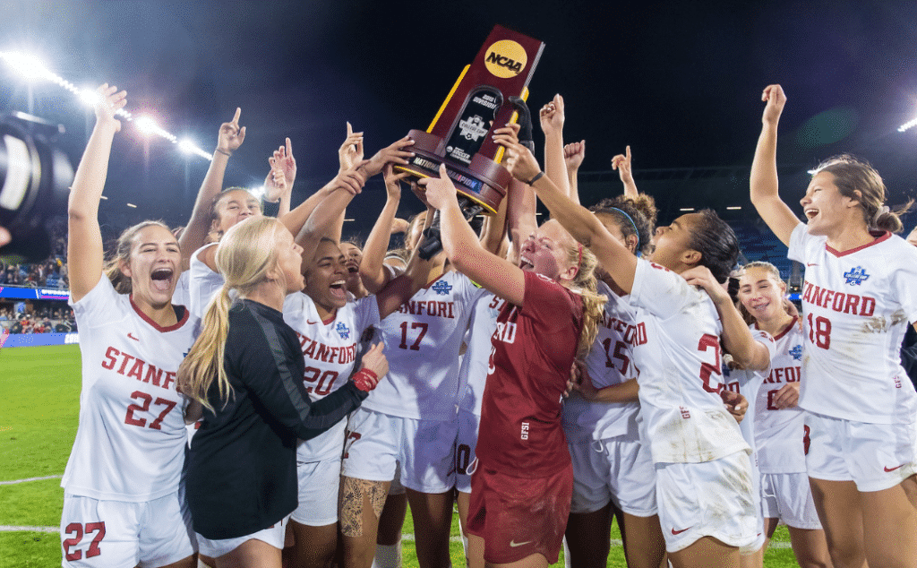 这一表述立 这一表述立